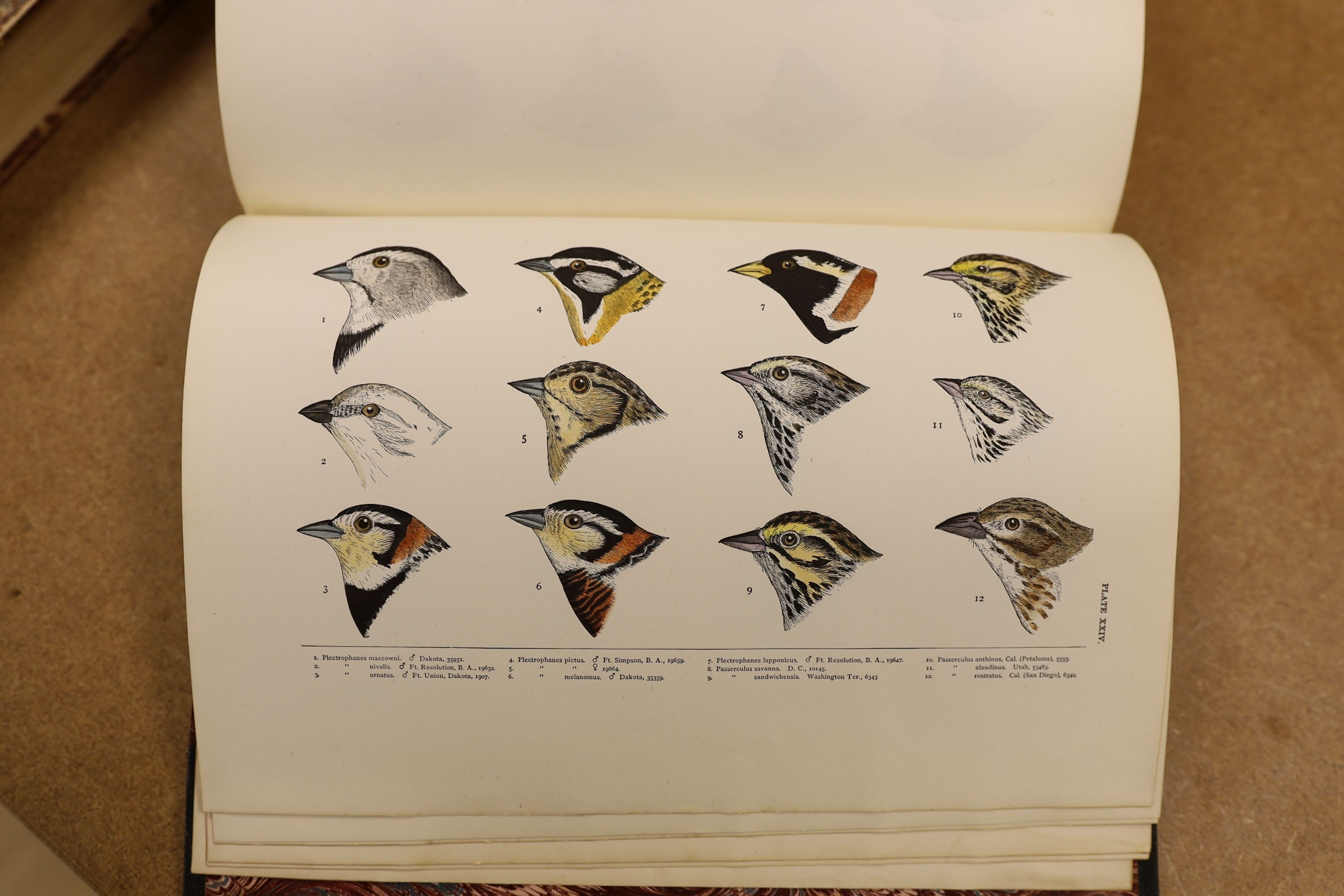 Baird, S.F. & Others - A History of North America Birds: Land Birds, 3 vols., coloured plates and other illus.; old half leather and marbled boards, gilt tops and marbled e/ps., 4to.